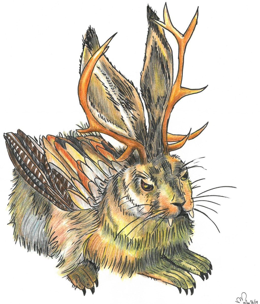 watercolour WOLPERTINGER